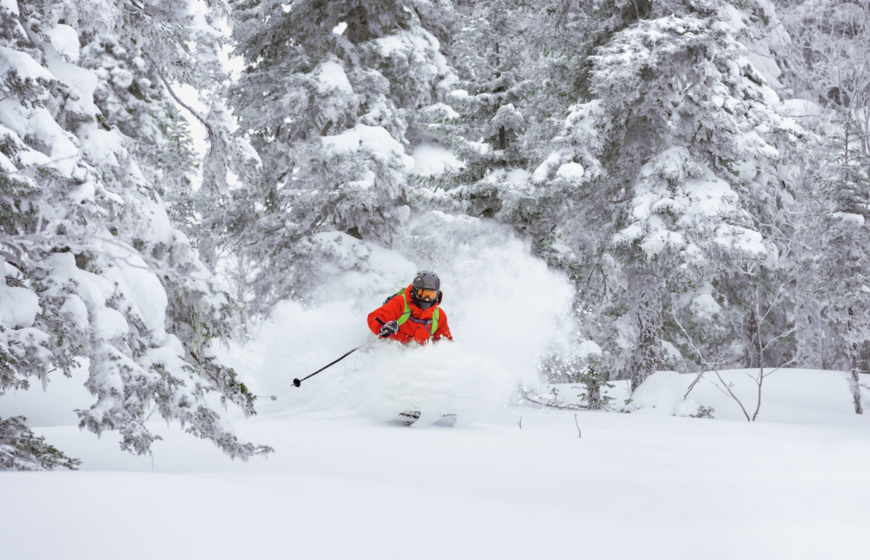 Skier in red ski jacket skiing off-piste through snowy trees 