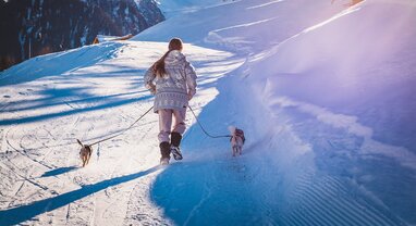 lady walking two dogs in snowy mountains