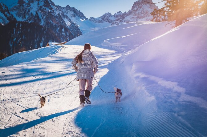 lady walking two dogs in snowy mountains