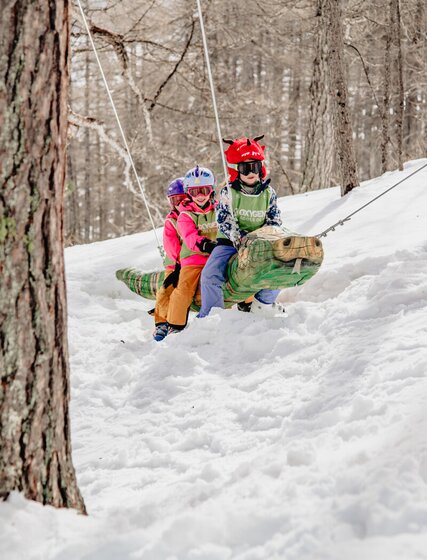 Three children sitting on wooden alligator swing in snow