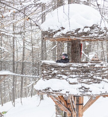 Young person looking out from wooden bird's nest tower in Val d'Isere forest