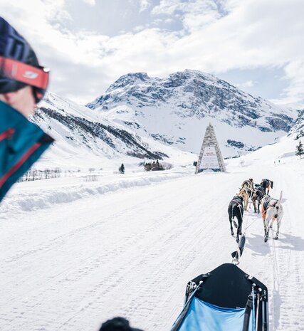 Husky dog sled in Val d'Isère